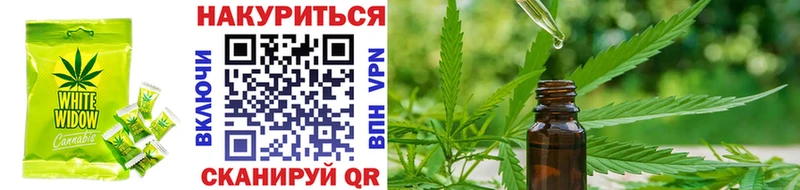 купить   Шиханы  Canna-Cookies марихуана 