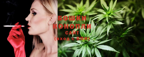 стаф Мегион