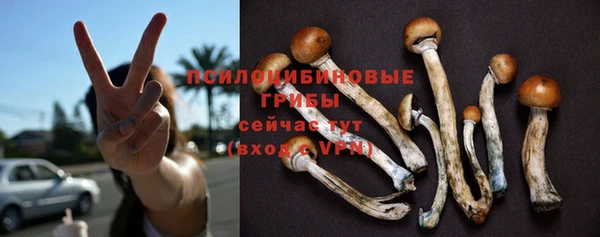 мяу мяу мука Медногорск