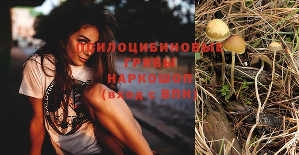 стаф Мегион