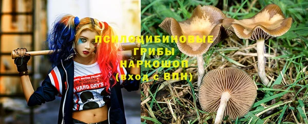 стаф Мегион