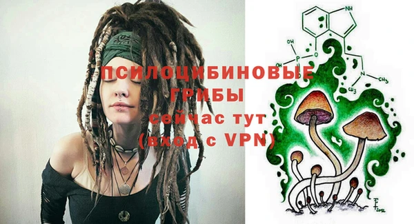 стаф Мегион