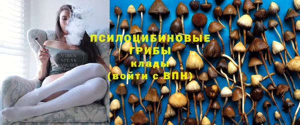 мяу мяу мука Медногорск