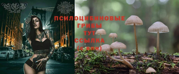 стаф Мегион
