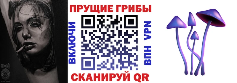 Галлюциногенные грибы Psilocybe  даркнет Telegram  Шиханы 